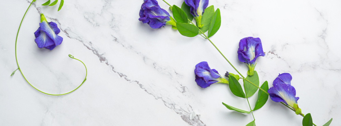 bg-banner