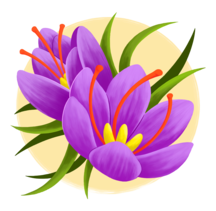 Agravyas